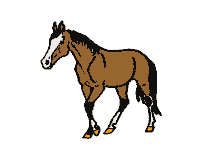 cheval_eb-154.gif