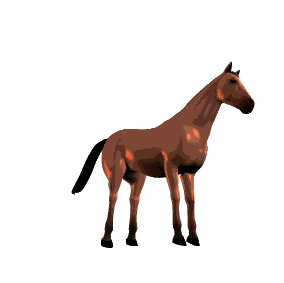 cheval_eb-166.gif