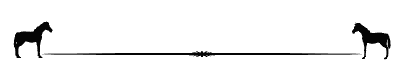 cheval_eb-170.gif