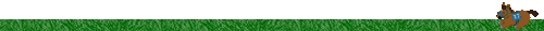 cheval_eb-178.gif