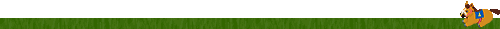 cheval_eb-179.gif