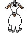 chevre_eb-005.gif