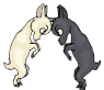 chevre_eb-015.gif