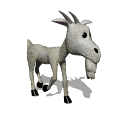 chevre_eb-024.gif