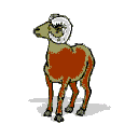 chevre_eb-028.gif