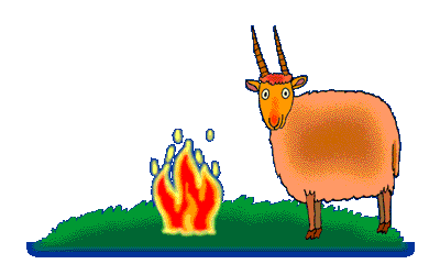 chevre_eb-034.gif