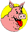 cochon_eb-040.gif