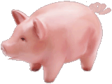 cochon_eb-118.gif