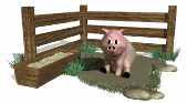 cochon_eb-125.gif