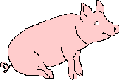 cochon_eb-126.gif
