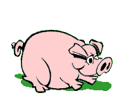 cochon_eb-136.gif