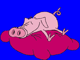 cochon_eb-151.gif