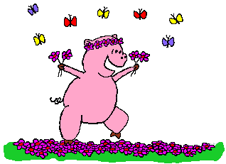 cochon_eb-153.gif