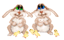 lapin-sentiments_eb-025.gif