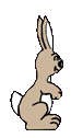 lapin_eb-026.gif