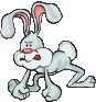lapin_eb-076.gif