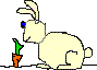 lapin_eb-077.gif