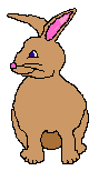 lapin_eb-079.gif