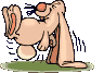 lapin_eb-094.gif