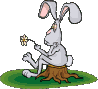 lapin_eb-102.gif