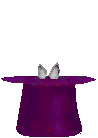 lapin_eb-107.gif