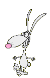 lapin_eb-112.gif