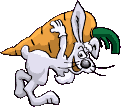 lapin_eb-169.gif