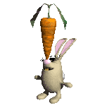 lapin_eb-175.gif