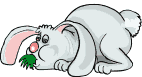 lapin_eb-193.gif