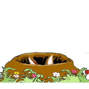 lapin_eb-243.gif