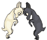 mouton_eb-021.gif