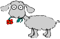 mouton_eb-027.gif