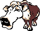 vache_eb-066.gif