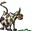 vache_eb-103.gif