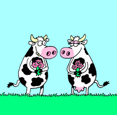 vache_eb-107.gif