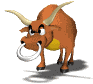 vache_eb-123.gif