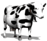 vache_eb-130.gif
