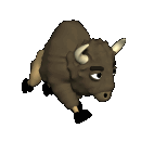 buffle-bison_eb-008.gif