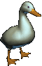canard_eb-012.gif