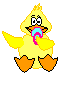 canard_eb-018.gif