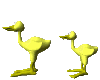 canard_eb-045.gif