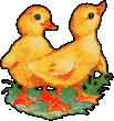 canard_eb-056.gif