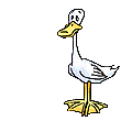 canard_eb-064.gif