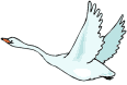 canard_eb-072.gif