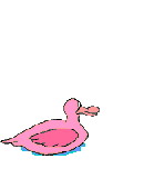 canard_eb-093.gif
