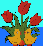 canard_eb-096.gif