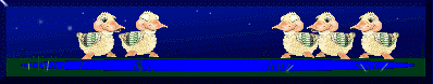 canard_eb-121.gif
