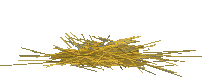 dinde_eb-020.gif