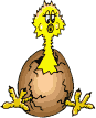 poule-coq-poussin_eb-039.gif
