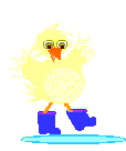 poule-coq-poussin_eb-082.gif